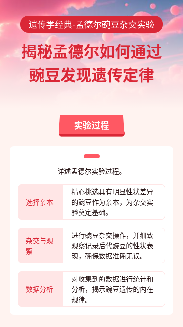 孟德尔豌豆杂交实验介绍