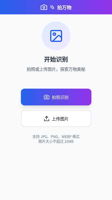 拍万物见山海