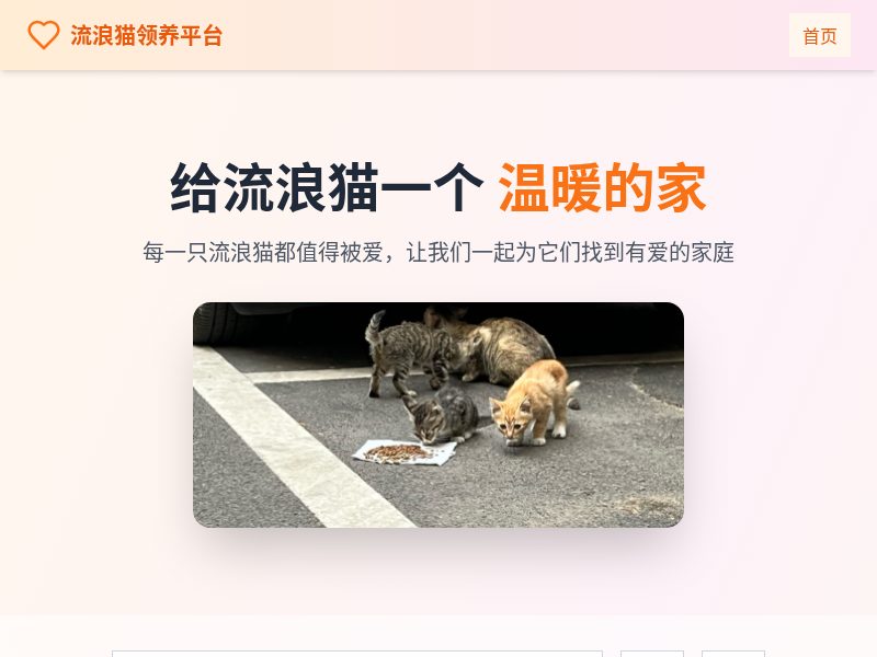 流浪猫领养平台