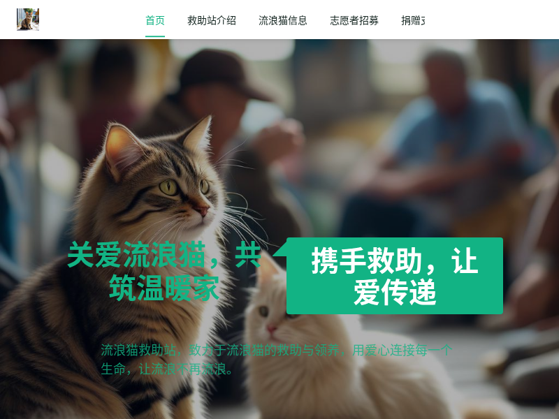 流浪猫救助站