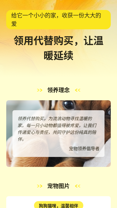 宠物领养宣传H5