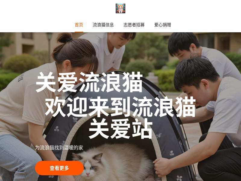 流浪猫关爱站官网