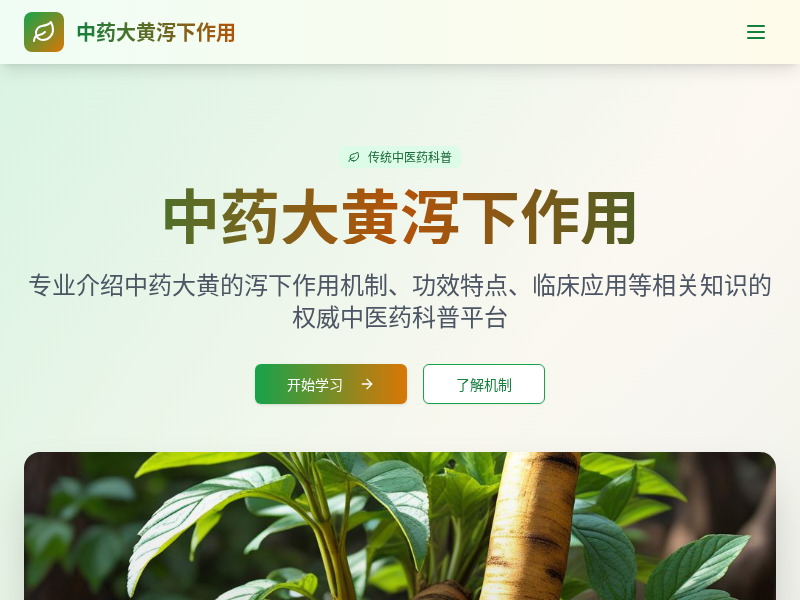 中药大黄泻下作用介绍网站