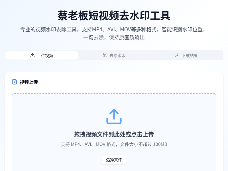 短视频去水印工具